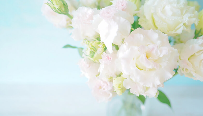 �ꥦ�ޥ���¿ȯ���˾ɤ������档��ȯ���䤹����ʹ�����ۡ�